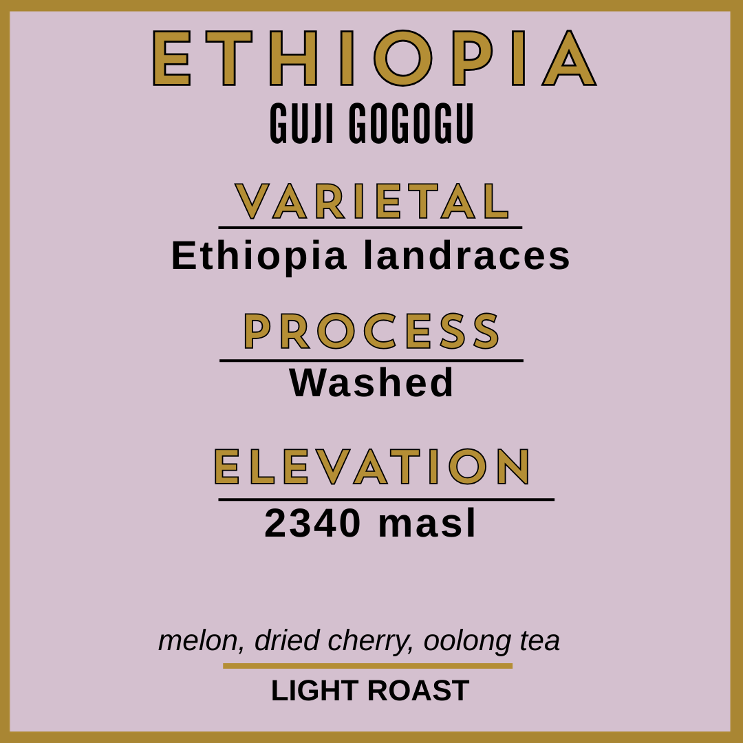 ETHIOPIA GUJI GOGOGU
