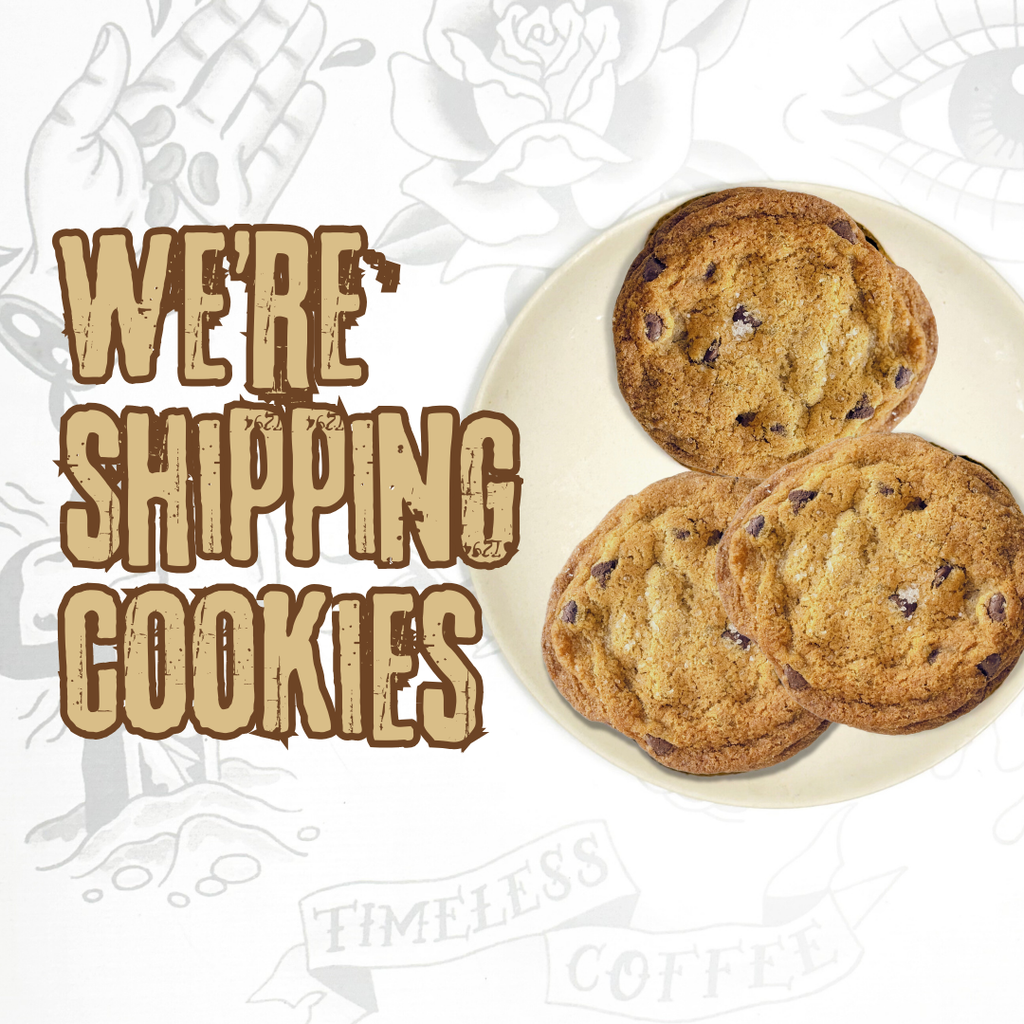 Chocolate Chip Cookie (Pack of 3)
