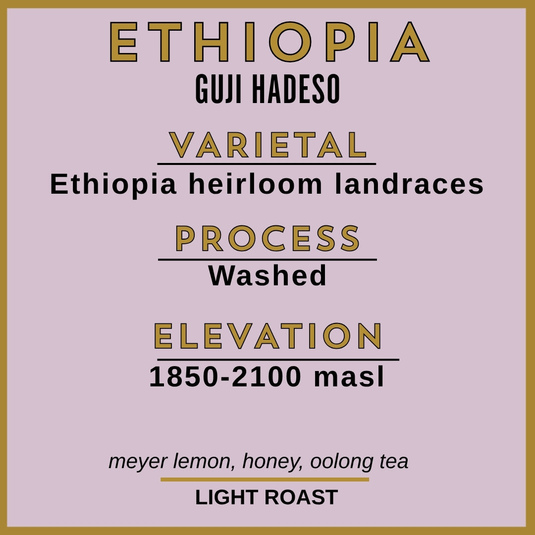 ETHIOPIA – GUJI HADESO