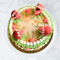 NOVELTY CAKES
