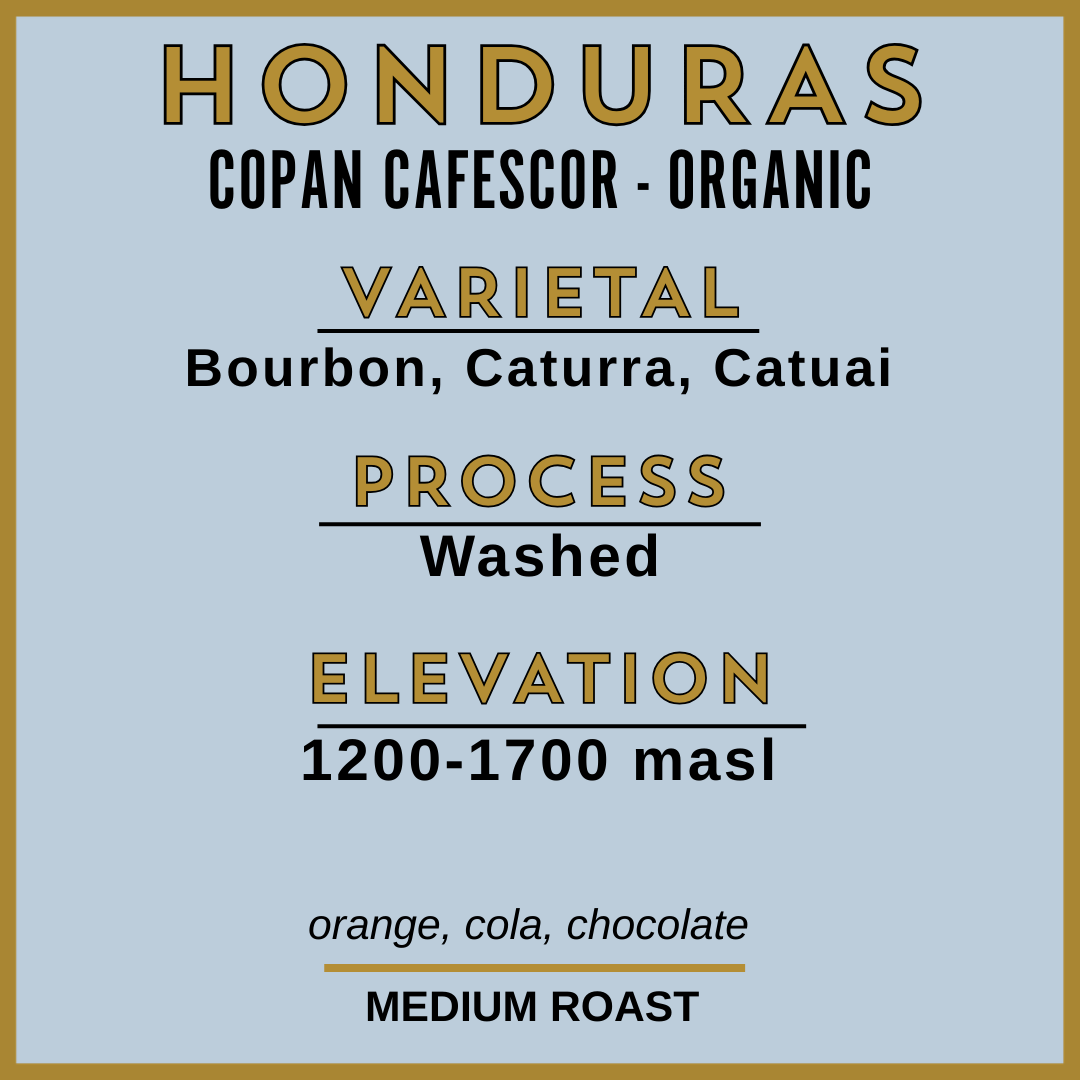 HONDURAS COPAN CAFESCOR - ORGANIC