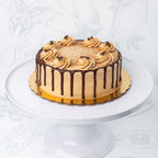 TIRAMISU CAKE